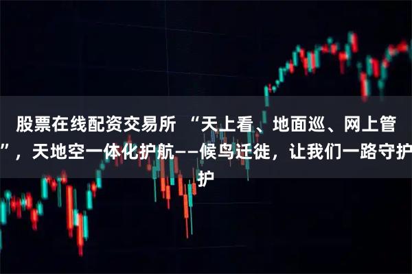 股票在线配资交易所  “天上看、地面巡、网上管”，天地空一体化护航——候鸟迁徙，让我们一路守护